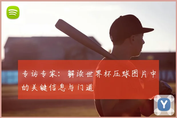 专访专家:解读世界杯压球图片中的关键信息与门道