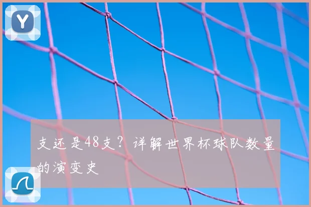 支还是48支？详解世界杯球队数量的演变史