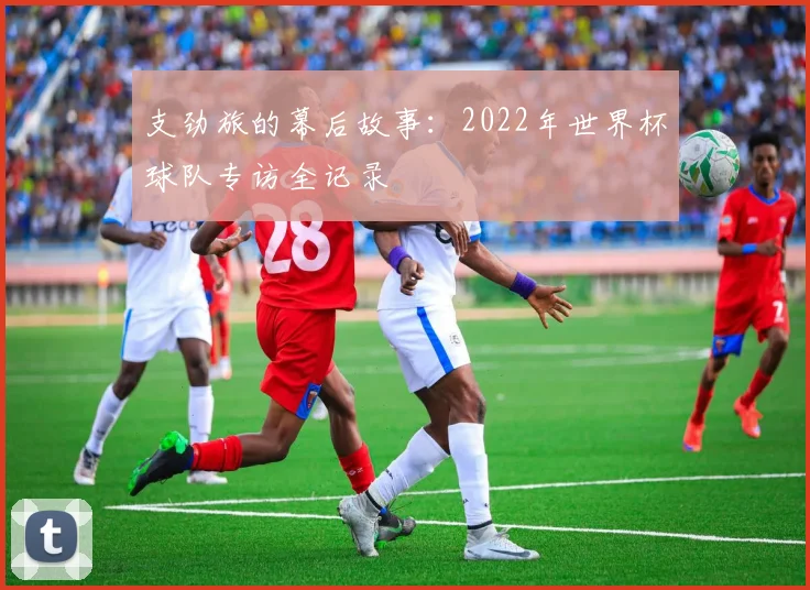 支劲旅的幕后故事：2022年世界杯球队专访全记录