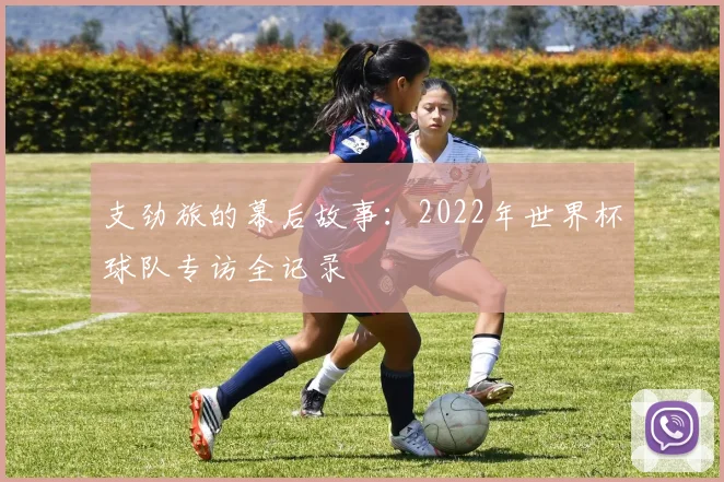 支劲旅的幕后故事：2022年世界杯球队专访全记录