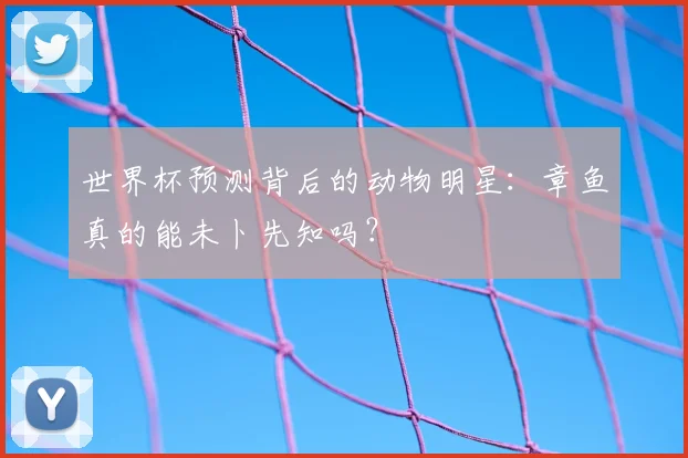世界杯预测背后的动物明星:章鱼真的能未卜先知吗?