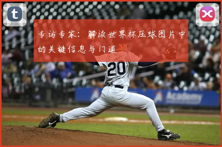 专访专家：解读世界杯压球图片中的关键信息与门道