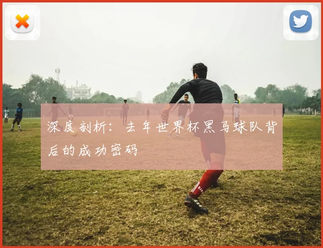 深度剖析：去年世界杯黑马球队背后的成功密码