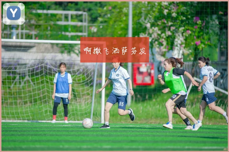 西班牙和德国并列欧洲杯夺冠次数最多 对未来赛事心理优势成看点