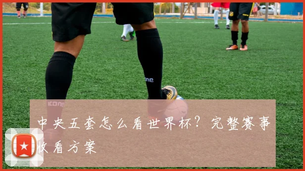 中央五套怎么看世界杯？完整赛事收看方案