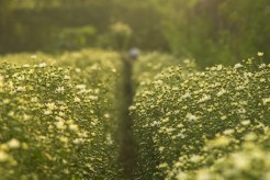 企业职工爱岗敬业剖析材料范文