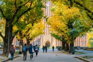 大学毕业生自我鉴定范文（大学毕业个人总结范文）