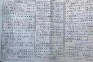 高一作文：风华正茂，正逢年少