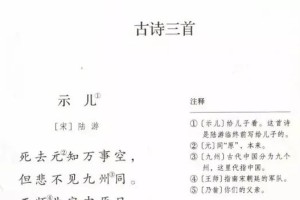 《示儿》《题临安邸》《已亥杂诗》的共同点（从诗题《示儿》《题临安邸》《己亥杂诗》我猜想）