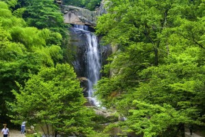 望庐山瀑布鉴赏与解析（望庐山瀑布鉴赏）