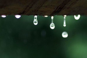 苏轼喜雨亭记原文及翻译（苏轼喜雨亭记赏析）