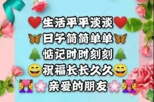 朋友圈早安的唯美句子大全（高情商打动人心的早安）