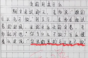 小学生作文《我的班主任》200字