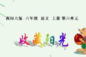 收藏阳光作文600字六年级