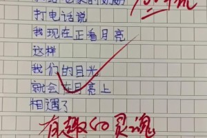 目光小作文100字