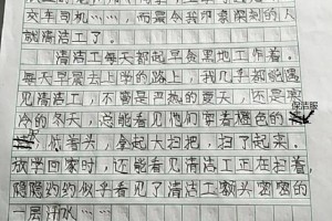 清洁工真辛苦作文500字