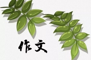 学会放弃作文550字