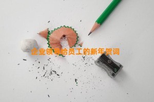 企业领导给员工的新年贺词