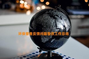 环保督查反馈问题整改工作总结