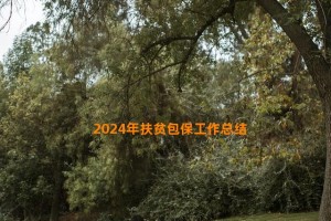 2024年扶贫包保工作总结