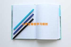 小学生暑假学习规划