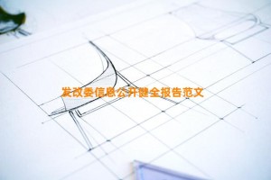 发改委信息公开健全报告范文