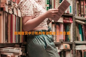 民间借贷中介机构专项整治工作方案