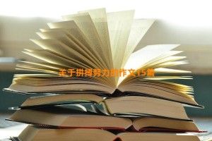 关于拼搏努力的作文15篇