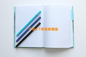 广东3 1学校有哪些