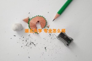 湖北大学 专业怎么样