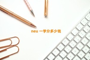 neu 一学分多少钱