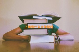 上海有什么大学院校