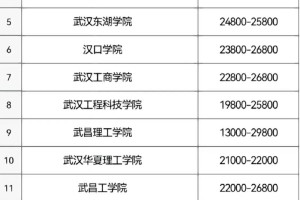 湖北民办大学有哪些