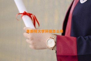 莱斯特大学环境怎么样