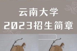 云大校园网怎么下载