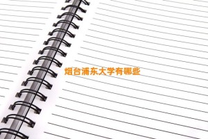 烟台浦东大学有哪些