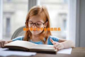 南京审计大学有哪些院系