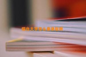 烟台大学怎么查录取啊