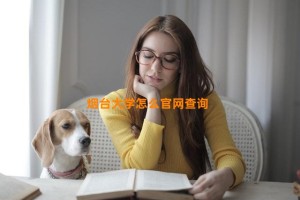 烟台大学怎么官网查询