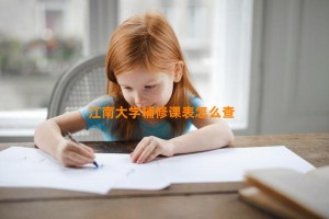 江南大学辅修课表怎么查