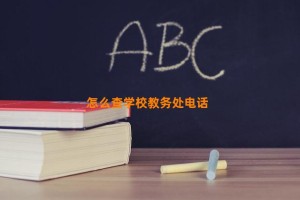 怎么查学校教务处电话