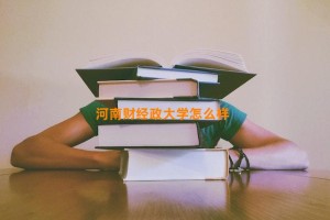 河南财经政大学怎么样