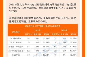 电子商务大学有哪些专业