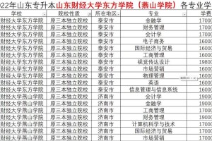 烟台会计大学有哪些专业