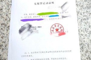 大学无处分记录证明怎么开