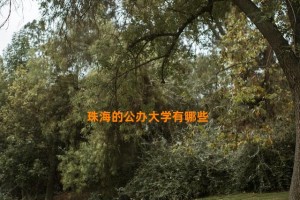 珠海的公办大学有哪些