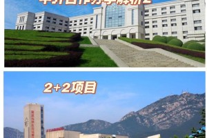 大学外事处怎么样