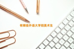 有哪些外语大学招美术生