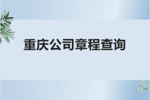 海淀公司章程查询在哪里