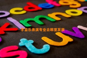 学音乐表演专业去哪里发展